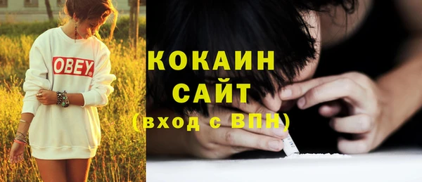 шишки Балабаново