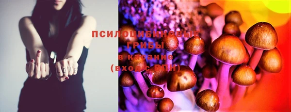 стаф Балахна