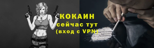 стаф Балахна