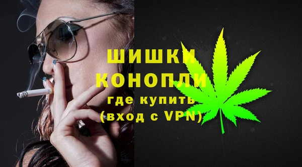шишки Балабаново