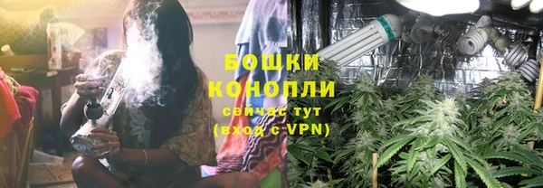 стаф Балахна