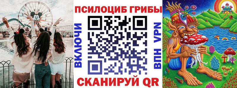 купить   Сатка  hydra ссылки  Псилоцибиновые грибы Psilocybe 